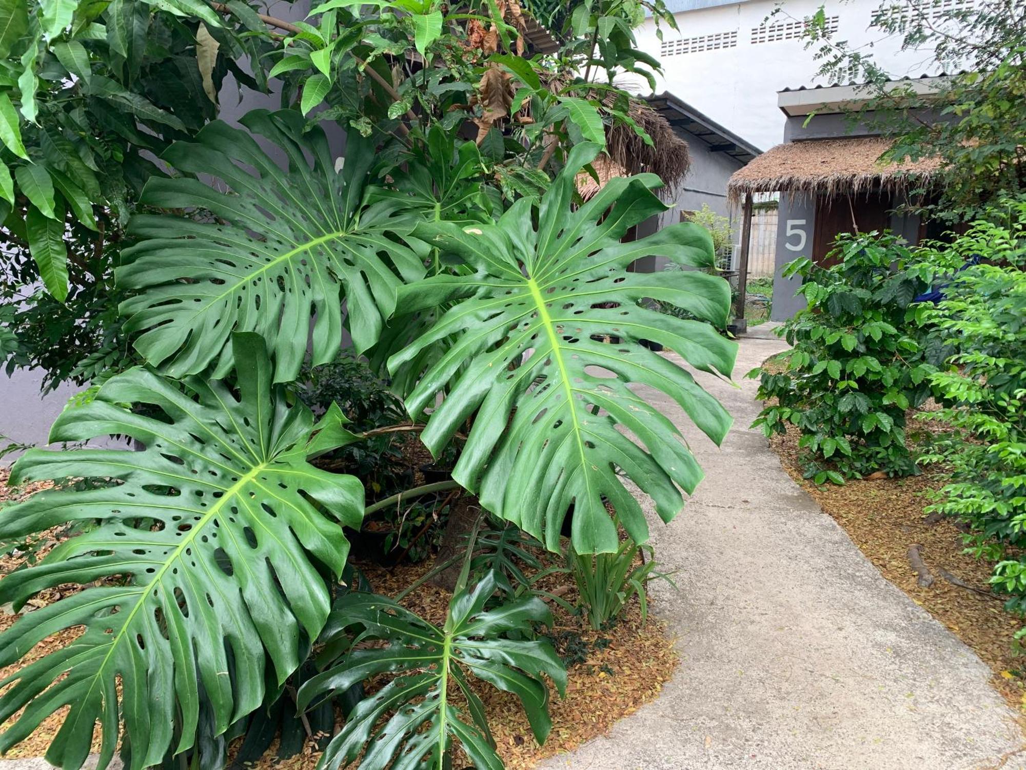 บ้านใจแปงโฮมสเตย์ Ban Jaipang Homestay Pai Εξωτερικό φωτογραφία
