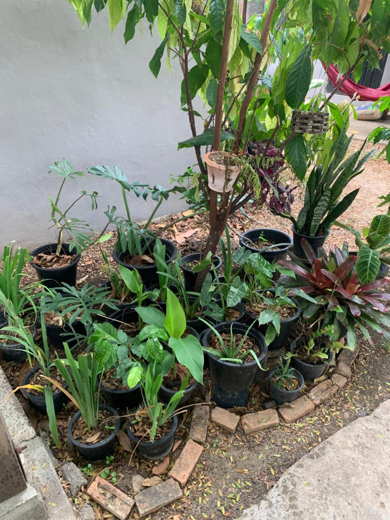 บ้านใจแปงโฮมสเตย์ Ban Jaipang Homestay Pai Εξωτερικό φωτογραφία